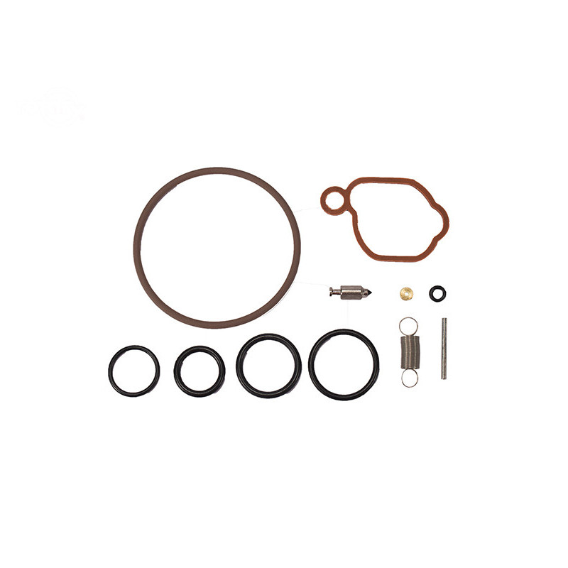 Rotary 15511 - Kit di revisione carburatore B&S sostituisce B&S - 15511