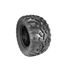Rotary 10731 - Band 25x1100-12nhs 4pr at489tl