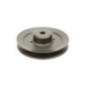 Rotary 14484 - Poulie de broche remplace husqvarna