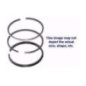 Rotary 7213 - Verchroomde zuigerveren set b&s vervangt b&s - 7213