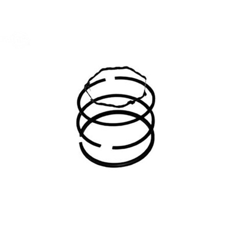 Rotary 1461 - Jeu de segments de piston b&s (std) remplace b&s - 1461