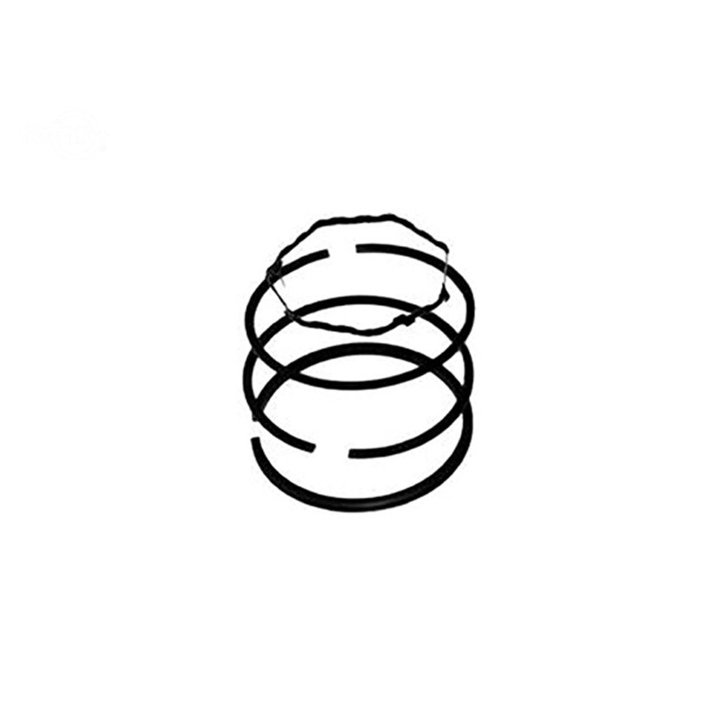 Rotary 1462 - B&S piston ring set (std) replaces b&s - 1462