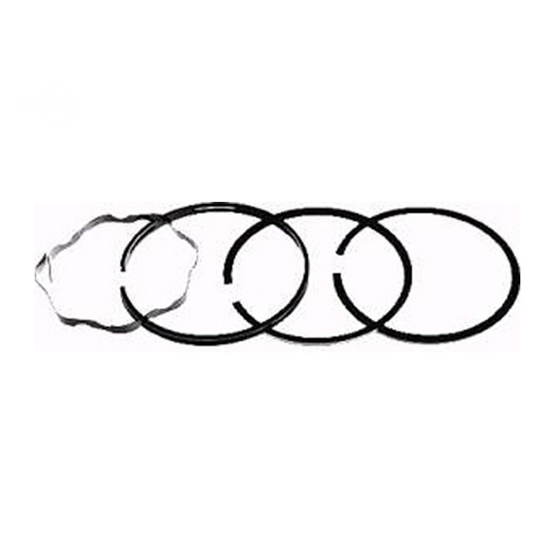 Rotary 2479 - Jeu de segments de piston b&s +.010 remplace b&s - 2479