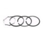 Rotary 2479 - Jeu de segments de piston b&s +.010 remplace b&s - 2479