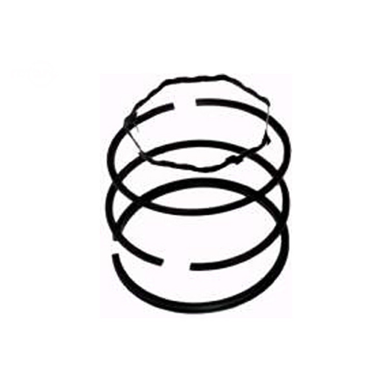 Rotary 6773 - Zuigerveer set b&s +.010 vervangt b&s - 6773