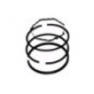 Rotary 6773 - Zuigerveer set b&s +.010 vervangt b&s - 6773