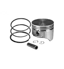 Rotary 8793 - Assemblage de piston b&s (std) remplace b&s