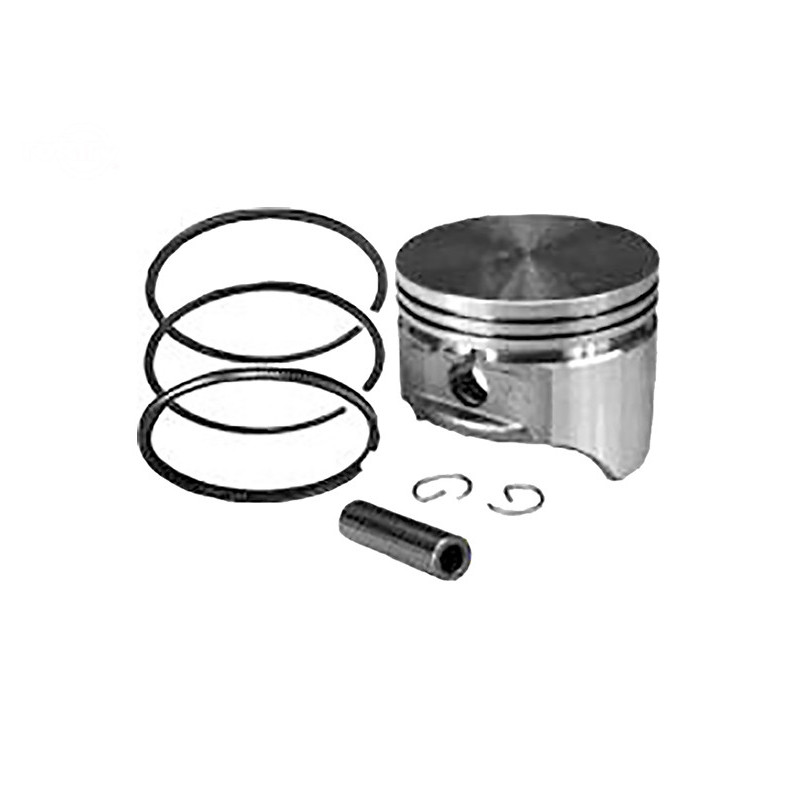 Rotary 8793 - Assemblage de piston b&s (std) remplace b&s