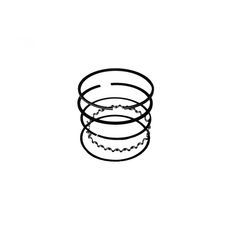 Rotary 10754 - Jeu de segments de piston b&s (std) remplace b&s - 10754
