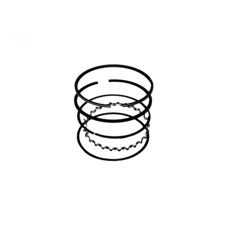 Rotary 10755 - Jeu de segments de piston b&s (std) remplace b&s - 10755