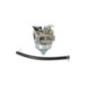 Rotary 16346 - Carburatore Honda sostituisce Honda - 16346
