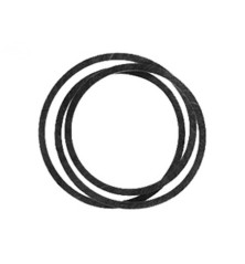 Rotary 12480 - Courroie de pont 3/8' x 32' ayp remplace ayp
