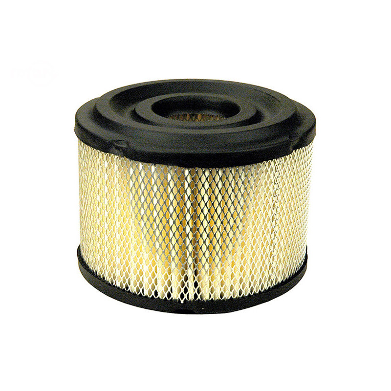 Rotary 2773 - Filtro aria (carta) b&s sostituisce b&s - 2773