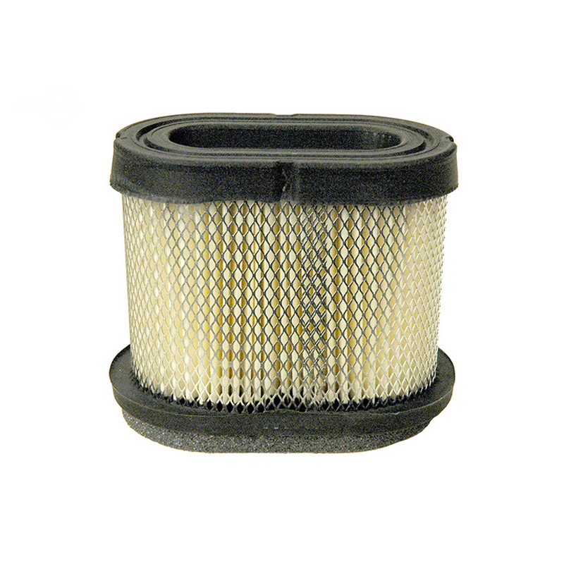 Rotary 9591 - Air filter (paper) b&s replaces b&s - 9591