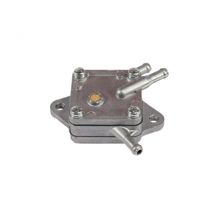 Rotary 10876 - Kohler benzinepomp vervangt Kohler