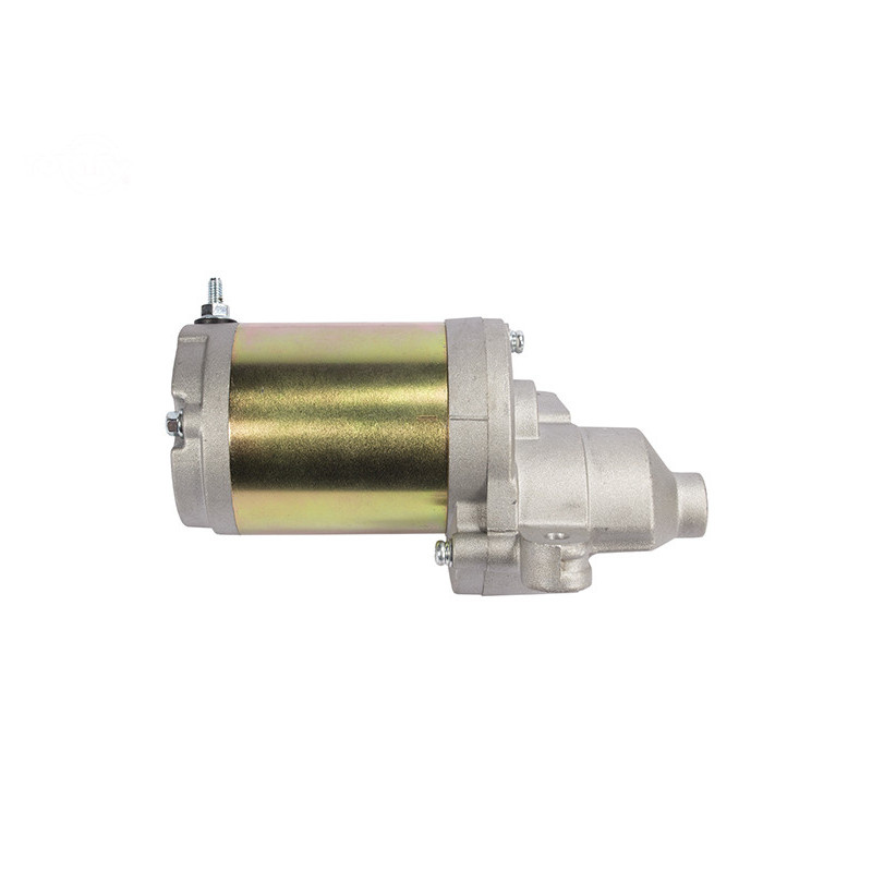 Rotary 15567 - Motor de arranque elétrico mtd substitui mtd