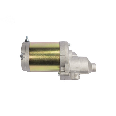 Rotary 15567 - Arranque eléctrico mtd reemplaza mtd