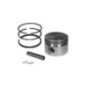 Rotary 2721 - Assemblage de piston b&s std remplace b&s - 2721