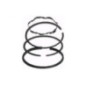 Rotary 8946 - B&s zuigerveren +.020 ter vervanging van b&s