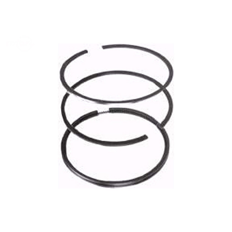 Rotary 8794 - B&s piston ring (std) replaces B&s