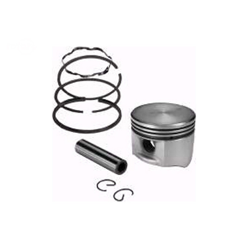 Rotary 8947 - Assemblage de piston b&s remplace b&s