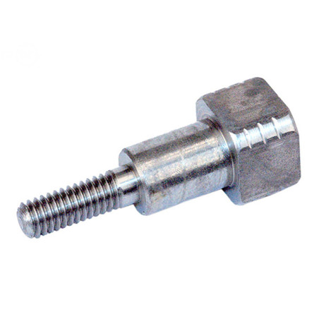 Rotary 30054 - Parafuso do eixo 10mmx1.0mm lhf
