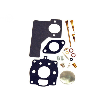 Rotary 2885 - Carburateur kit b&s vervangt b&s - 2885