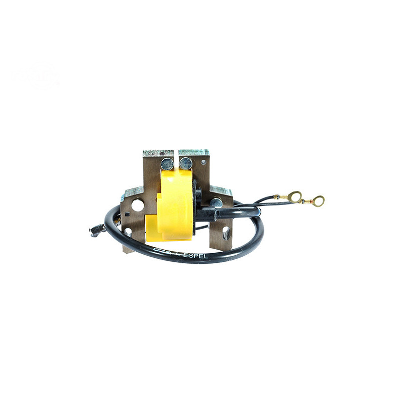 Rotary 1778 - Bobine d'allumage b&s remplace b&s - 1778