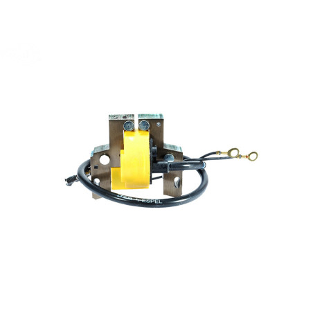 Rotary 1778 - Bobine d'allumage b&s remplace b&s - 1778