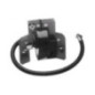 Rotary 7288 - Bobine d'allumage b&s remplace b&s - 7288