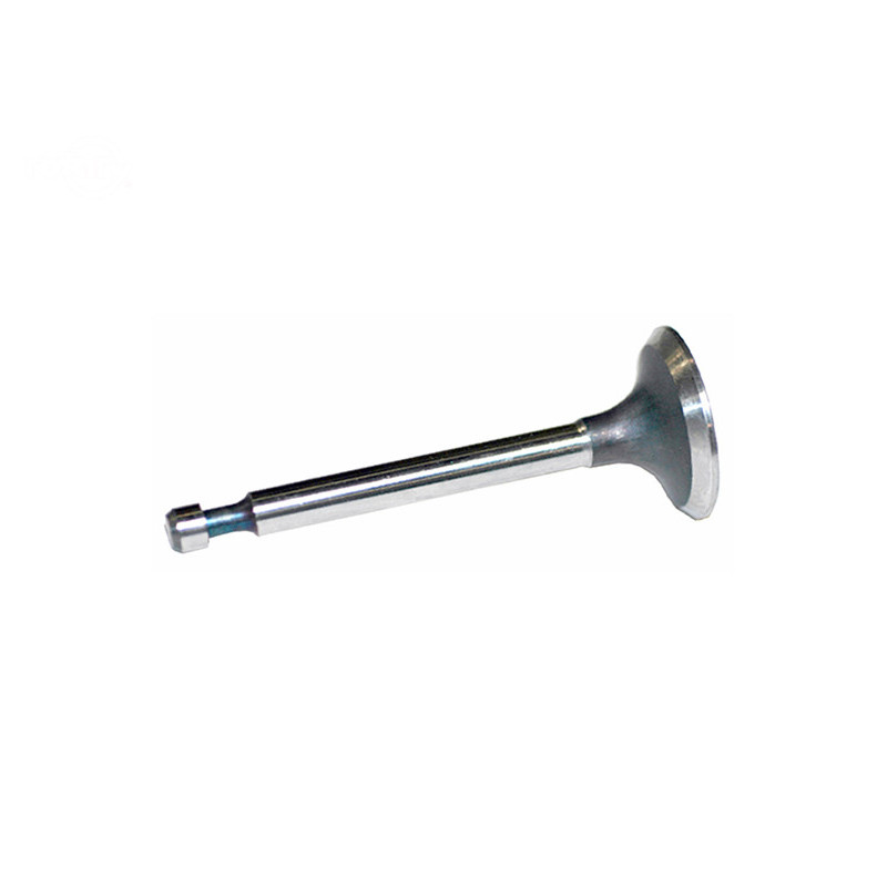 Rotary 9878 - B&S Auslassventil ersetzt B&S - 9878