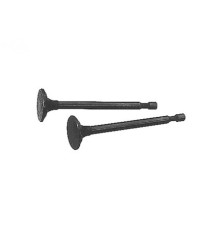Rotary 8049 - Uitlaatklep b&s vervangt b&s - 8049