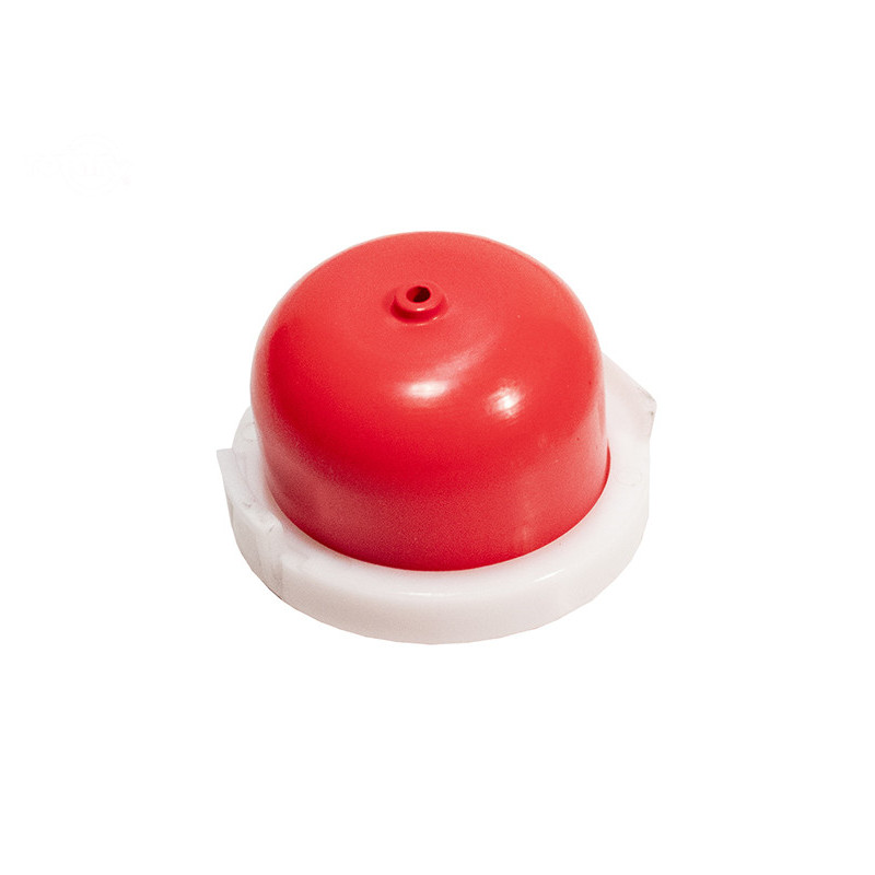 Ampoule d'apprêt briggs &