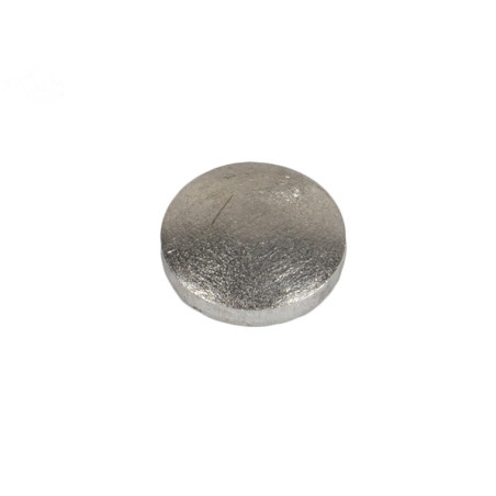 Rotary 8161 - Bouchon welch petit tillotson