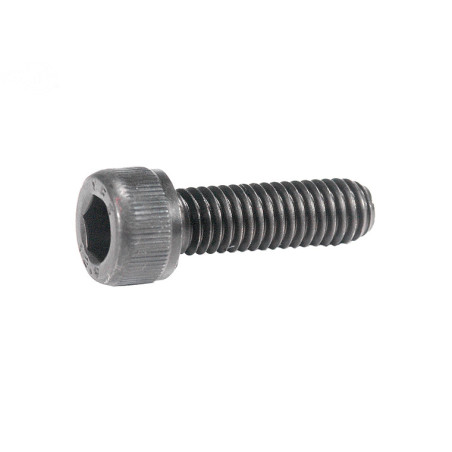 Rotary 3180 - Perno de cabeza hueca m6x20