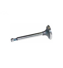 Rotary 9879 - B&S inlaatklep vervangt b&s - 9879