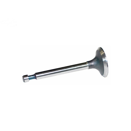 Rotary 9879 - B&S inlaatklep vervangt b&s - 9879