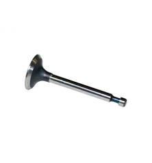 Rotary 1509 - B&S inlaatklep vervangt b&s - 1509