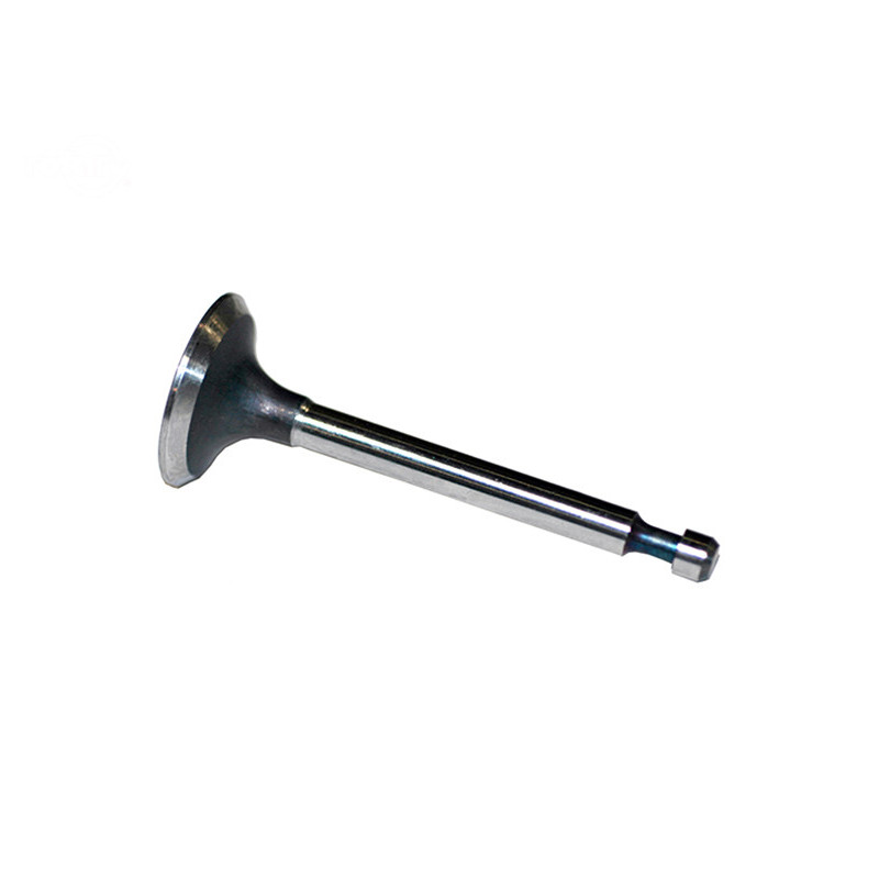 Rotary 1509 - Einlassventil B&S ersetzt B&S - 1509