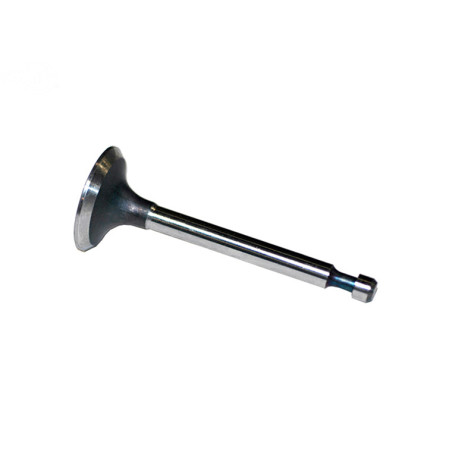 Rotary 1509 - B&S inlaatklep vervangt b&s - 1509