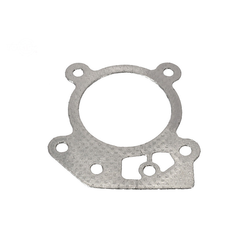 Rotary 16255 - B&s Zylinderkopfdichtung ersetzt B&s - 16255