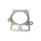 Rotary 16343 - B&S Zylinderkopfdichtung ersetzt B&S - 16343
