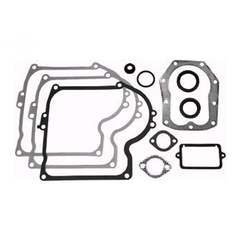 Rotary 8951 - Jeu de joints b&s remplace b&s - 8951