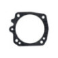 Rotary 3657 - Metering Seal - 3657