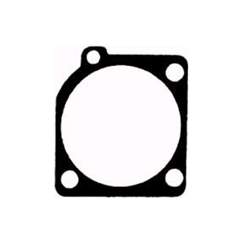 Rotary 8149 - Zama Kraftstoffpumpendichtung - 8149