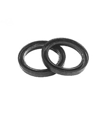 Rotary 8825 - Joint d'huile b&s remplace b&s - 8825