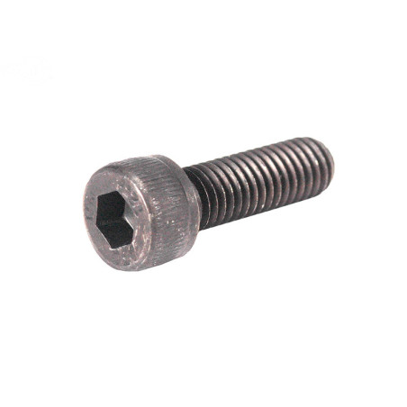 Rotary 3156 - Socket head bolt - 3156