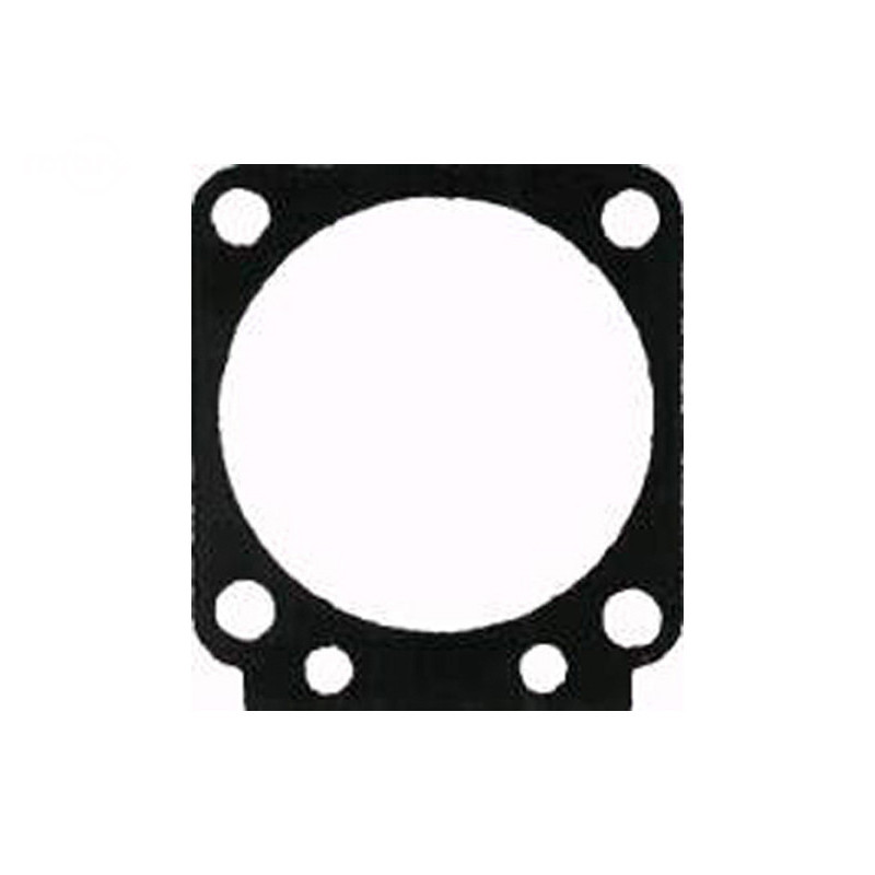 Rotary 8142 - Zama metering seal