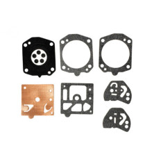 Rotary 4301 - Carburetor kit - 4301