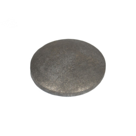 Rotary 8123 - Bouchon welch - 8123